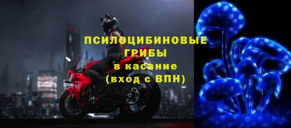 метадон Осташков