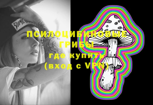 а пвп мука Няндома
