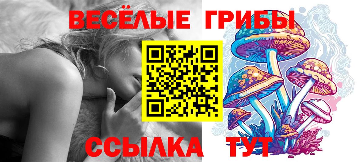 Галлюциногенные грибы Magic Shrooms  Галлюциногенные грибы Psilocybine cubensis  Калач-на-Дону 