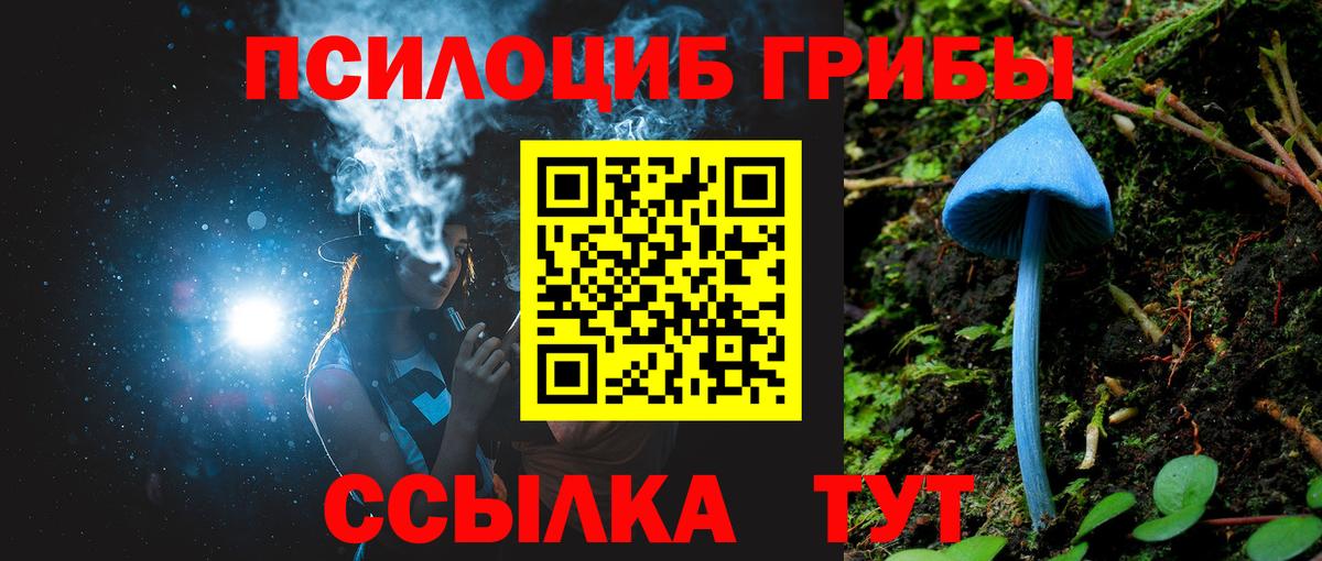 Галлюциногенные грибы Cubensis Калач-на-Дону