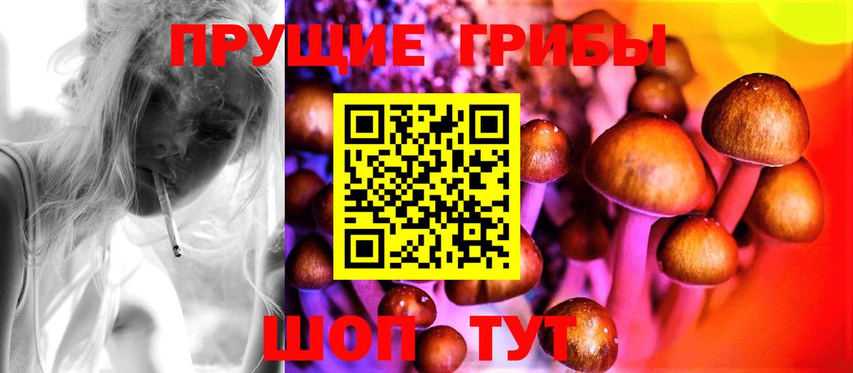 Псилоцибиновые грибы MAGIC MUSHROOMS  цены наркотик  Калач-на-Дону  Вход с VPN 